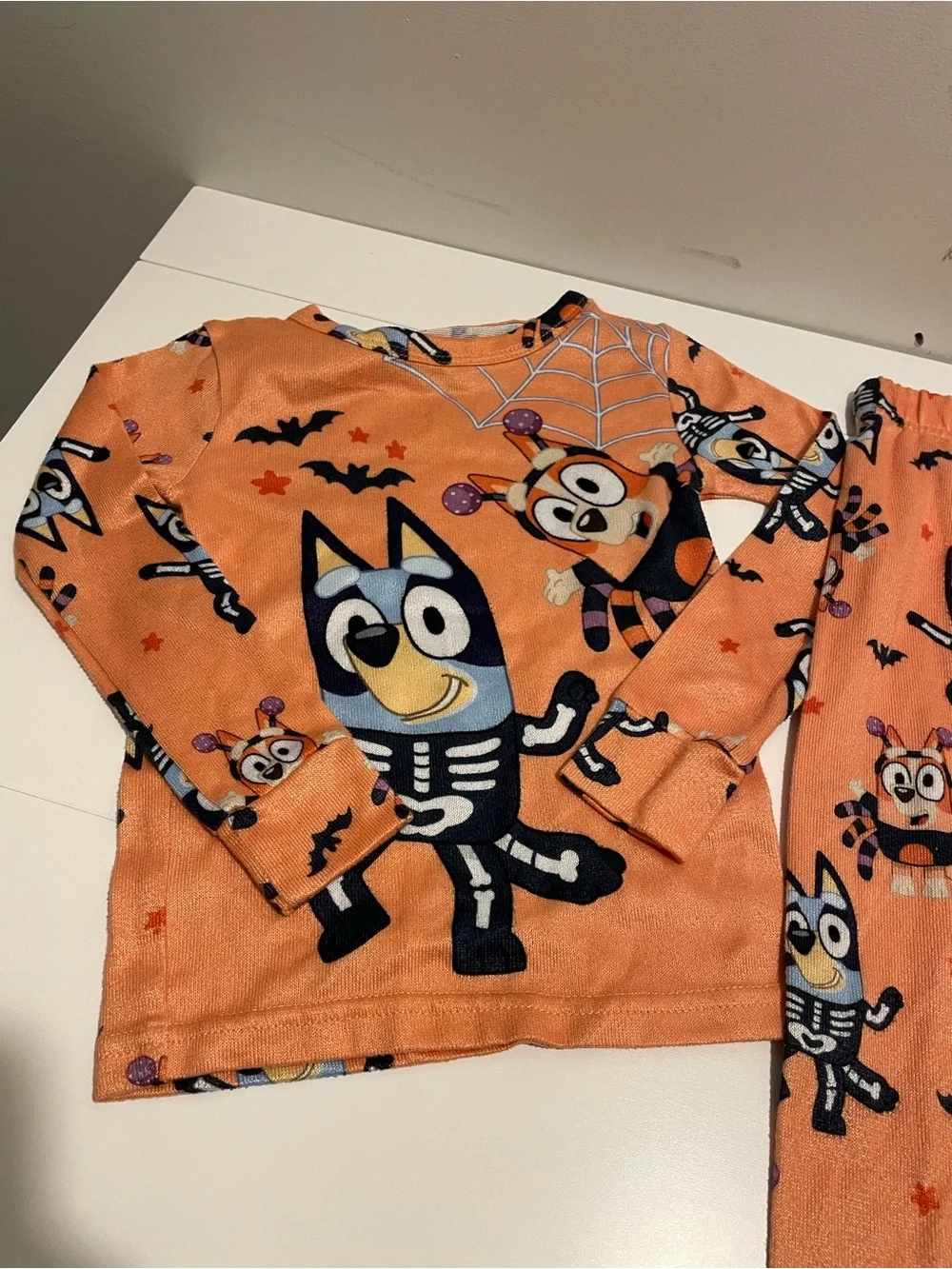 Bluey brand toddler